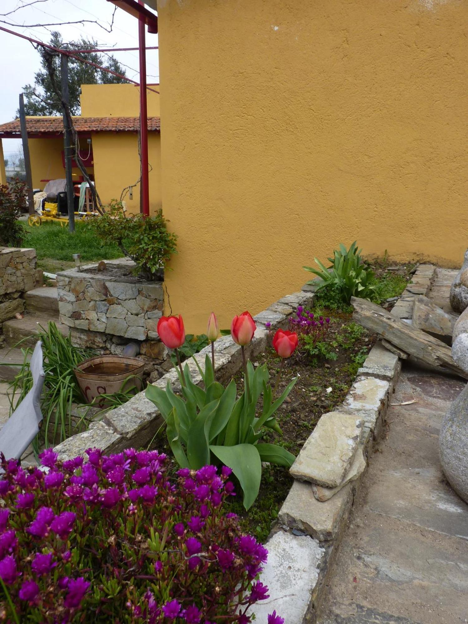 Casa Da Vinha Grande Hotel Poiares Exterior photo